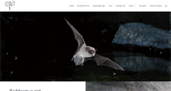 Desktop Screenshot of fladdermus.net